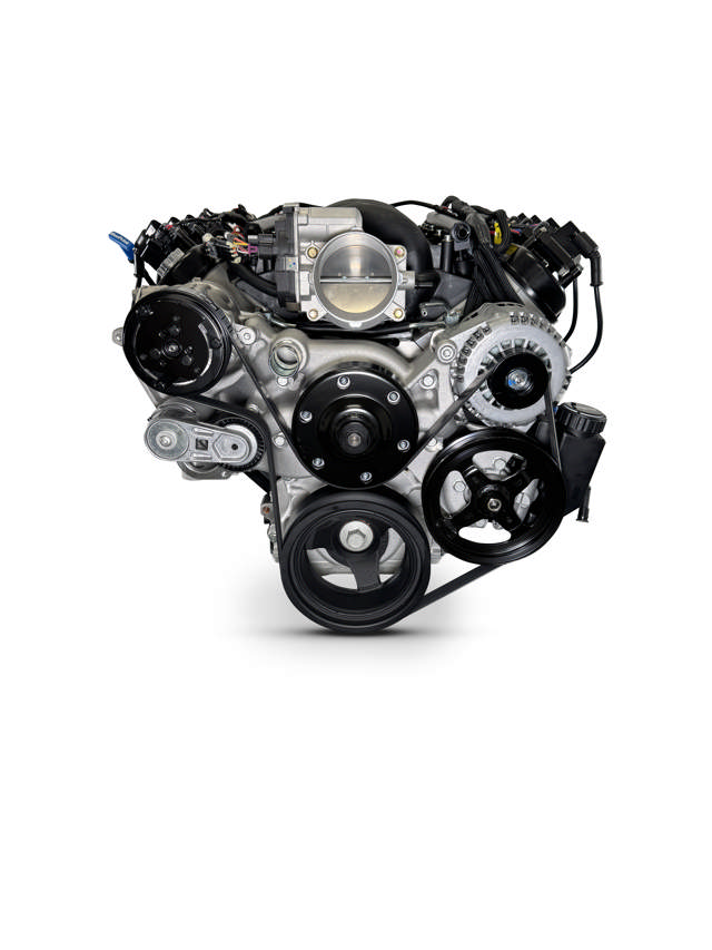 BluePrint Engines GM LS Compatible 376 c.i. Pro Series Engine - GM Plastic Intake - Deluxe Dressed - Natural Pulley Kit - Holley Terminator X EFI System