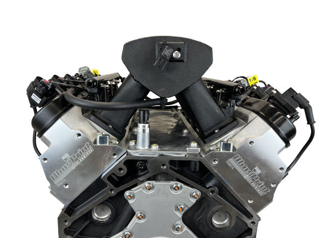 BluePrint EnginesGM LS Compatible 427 c.i. Pro Series Engine - 600 Horsepower - Deluxe Dressed - Black Pulley Kit - Holley Terminator X EFI System